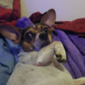 Meet your Posher, Noah